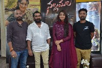 Nallamala Movie Success Celebrations